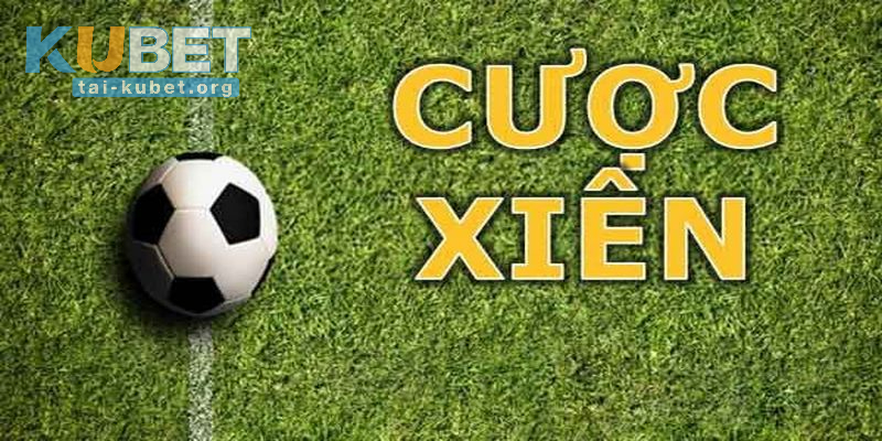 Anh em hãy đầu tư thời gian nghiên cứu thông tin về các đội bóng tham gia