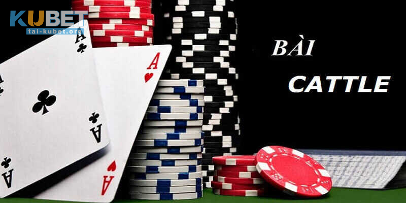 Luật chơi Bài Catte mà bạn cần phải biết