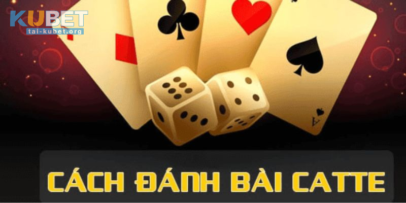 Một số quy cách chưng Bài Catte Newbie nên biết