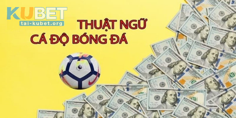 Các Thuật Ngữ Cá Độ Bóng Đá