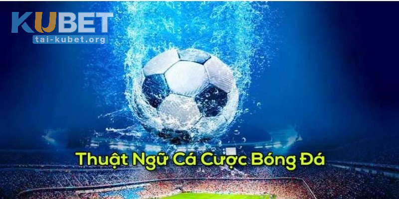 Khi nắm được thuật ngữ sẽ dễ dàng dễ dàng lựa chọn cược phù hợp với chiến thuật