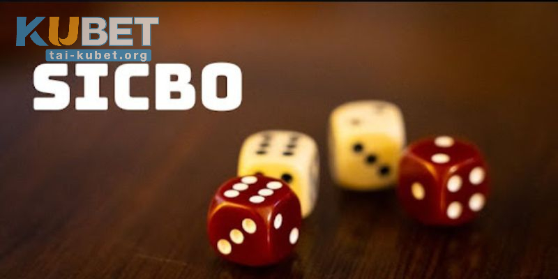 Không nên đặt nhiều cửa cho một ván cược