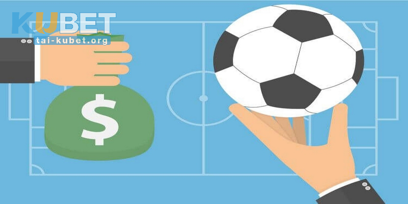 Những thắc mắc tại sao cá độ bóng đá luôn thua