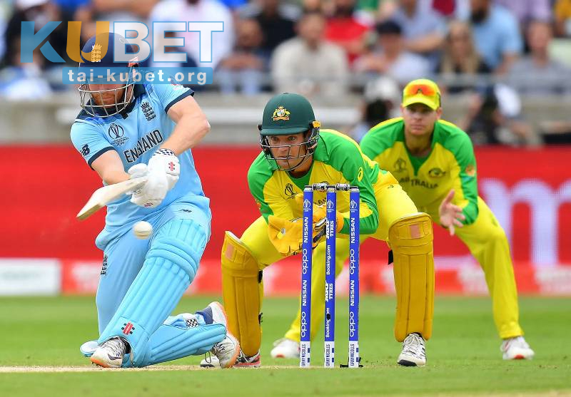 Cricket Kiểu Đối Kháng