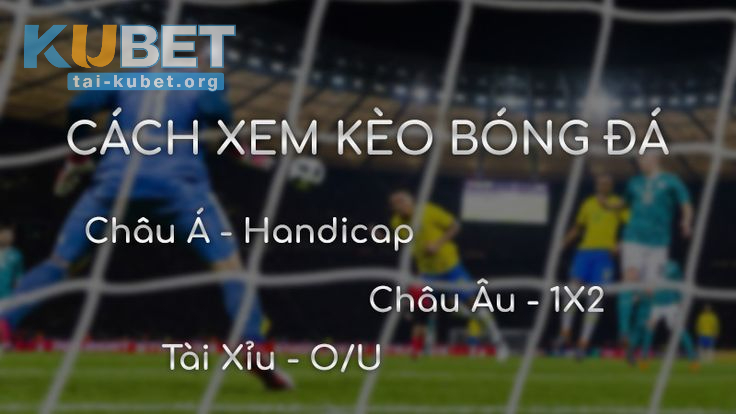 Cách đọc kèo nhà cái phổ biến