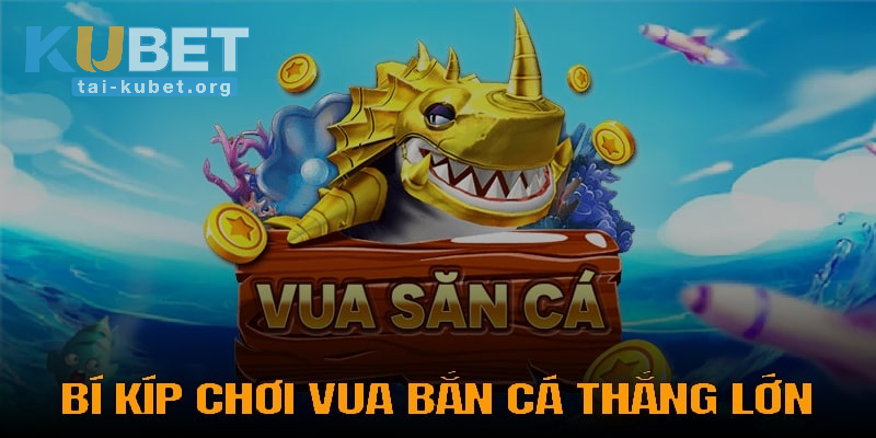 Cẩm nang để trở thành một ông Vua Săn Cá thực thụ